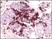 Fig 9