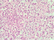 Fig 14