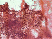 Fig 5
