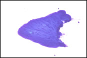 Fig 7