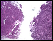 Fig 7