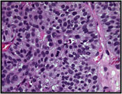 Fig 8