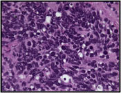 Fig 9
