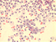 Fig 5