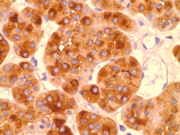 Fig 8