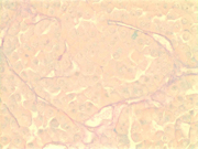 Fig 9
